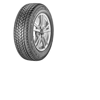 GT Radial 225/55 R16 99H XL Winter Pro 2 Kış Lastiği