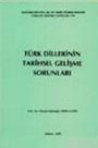 Türk Dillerinin Tarihsel Gelişme Sorunları (ISBN: 9789751608422)
