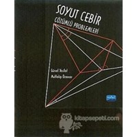 Soyut Cebir Çözümlü Problemleri (ISBN: 9786051333007)