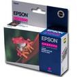 Epson T054340