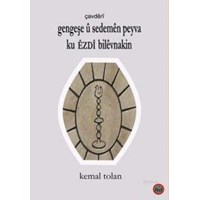 Gengeşe Û Sedemen Eyva Ku Êzdi Bilvnakin (ISBN: 9786056392627)