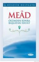 Mead (ISBN: 9789756640548)