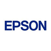 Epson C13S050691