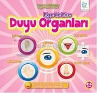 Ege ile Ece Duyu Organları (2012)