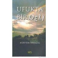 Ufukta Bir Deli (ISBN: 9789756835500)