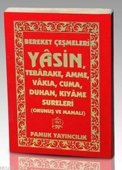 Bereket Çeşmeleri Yasin (ISBN: 9789752942721)