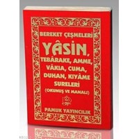 Bereket Çeşmeleri Yasin (ISBN: 9789752942721)