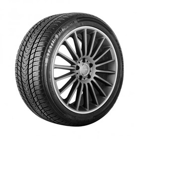 Gripmax 245/35 R21 96V Status Pro Winter Kış Lastiği