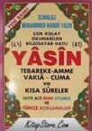 41 Yasin Tebareke Amme Vakıa- Cuma ve Kısa Sureler (ISBN: 9789944199094)