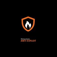 Malwarebytes Anti-Exploit Business Lisansı (1 Yıl, 1 Pc)