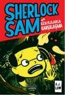 Sherlock Sam ve Kayıp Kitabın Gizemi (ISBN: 9786059961455)