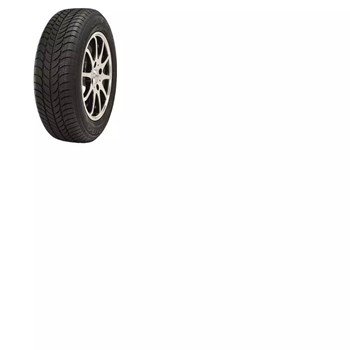 Debica 225/45 R18 95V XL Frigo HP2 Kış Lastiği