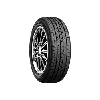 Roadstone 205/65 R15 94H Eurovis Alpine WH1 Kış Lastiği