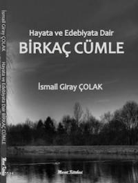 Birkaç Cümle (ISBN: 9786059876384)