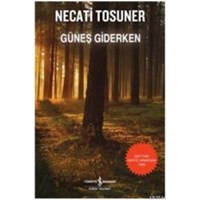Güneş Giderken (ISBN: 9786053606727)