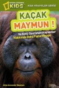 Kaçak Maymun (ISBN: 9786054716074)