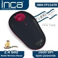 Inca IWM-FP334TR