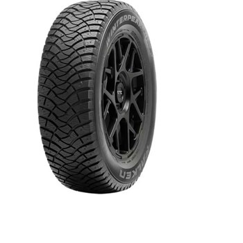 Falken 215/65 R16 102T Winter Peak F Ice 1 Kış Lastiği