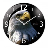 iF Clock Kartal Duvar Saati (Z11)