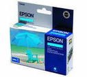 Epson T045240