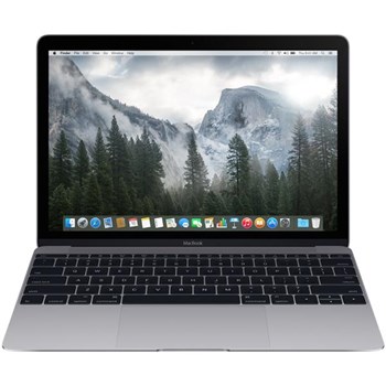 Apple MacBook 12 MJY32TU/A