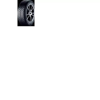 Continental 205/55 R16 91H ContiWinterContact TS 830 P Kış Lastiği