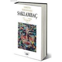 Saklambaç (ISBN: 9786051480565)