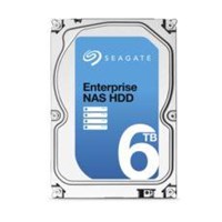 Seagate Enterprise NAS HDD 6TB ST6000VN0011