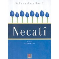 Necati (ISBN: 9789758950177)