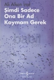 Şimdi Sadece Ona Bir Ad Koymam Gerek (ISBN: 9789944886086)