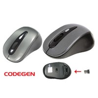 Codegen CP80