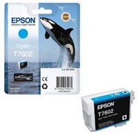 Epson C13T76024010 Mavi Kartuş