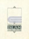 Islam Ansiklopedisi 30. Cilt (ISBN: 9789753894258)