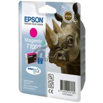 EPSON T10034020