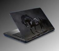 Jasmin 2020 Horses Laptop Sticker 25461518