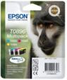 Epson T089640