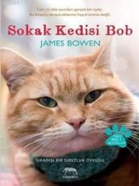 Sokak Kedisi Bob (ISBN: 9786056370809)