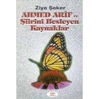 Ahmet Arif ve Şiirini Besleyen Kaynaklar (ISBN: 9789757145301)
