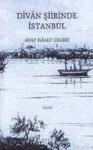 Divan Şiirinde Istanbul (ISBN: 9789758274338)