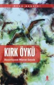 Kırık Öykü (ISBN: 9786055676490)