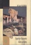 Uygarlığın Doğuşunda Kültür ve Kürtler (ISBN: 9786055454197)