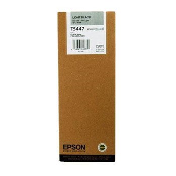 Epson C13T544700 Açık Siyah Kartuş