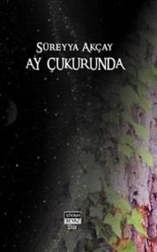 Ay Çukurunda (ISBN: 9786055646981)