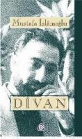 Divan (ISBN: 9789755500768)