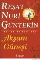 Akşam Güneşi (ISBN: 9789751026606)