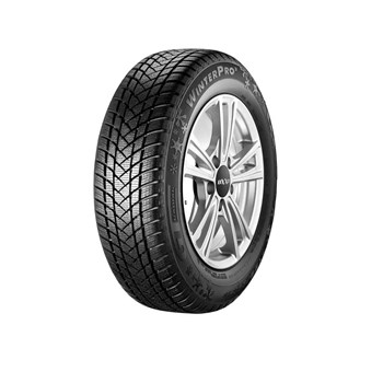 GT Radial 215/50 R17 95V XL Winter Pro 2 Kış Lastiği