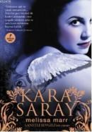 Kara Saray (ISBN: 9786054377435)