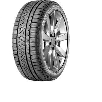 GT Radial 225/55 R17 101V XL Champiro WinterproHP Kış Lastiği 2017 ve Öncesi