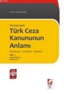 Türk Ceza Kanununun Anlamı (ISBN: 9789750211249)