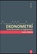 Ekonometri (ISBN: 9786054485444)
